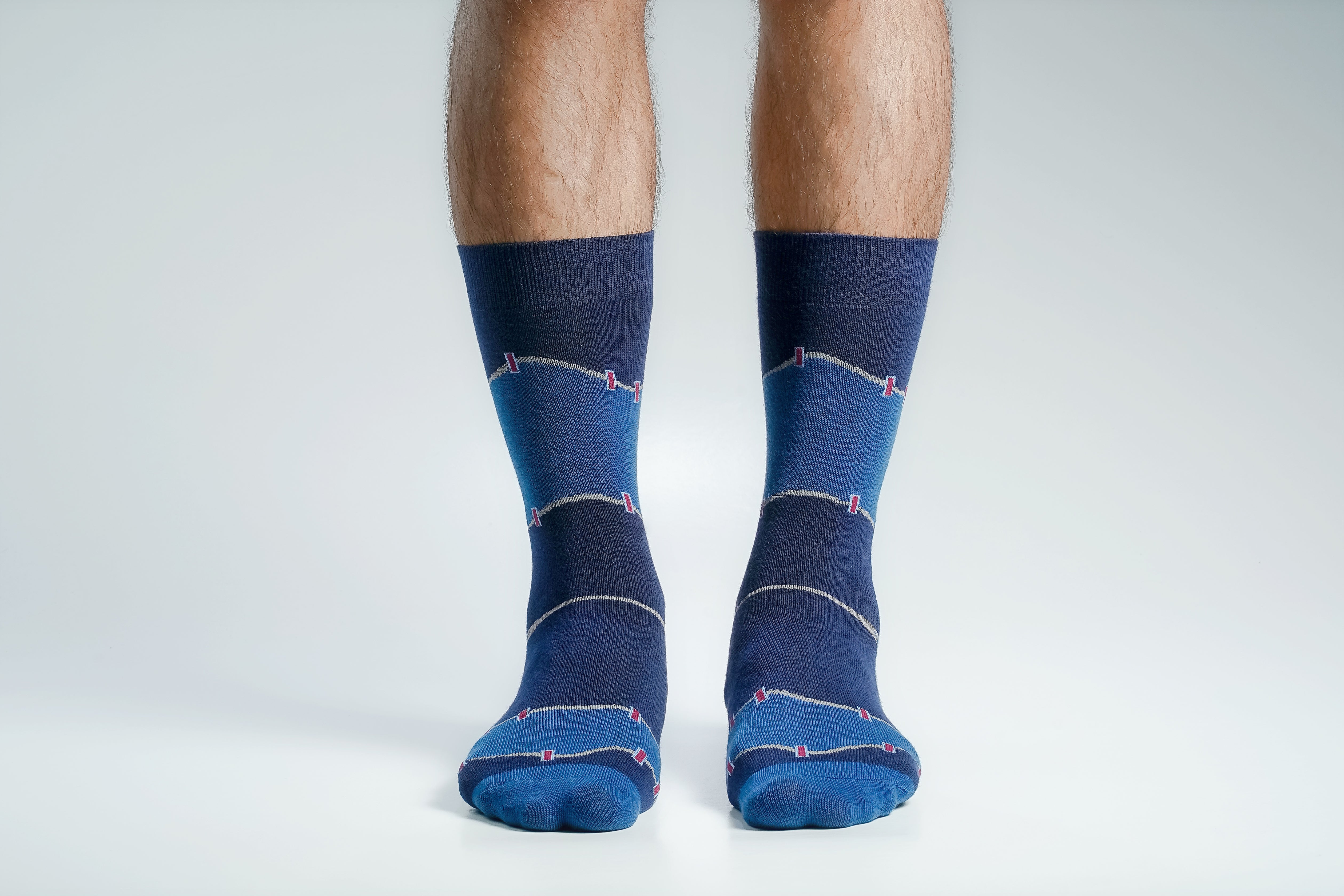 Swan 1000 Miles Long Socks For Men