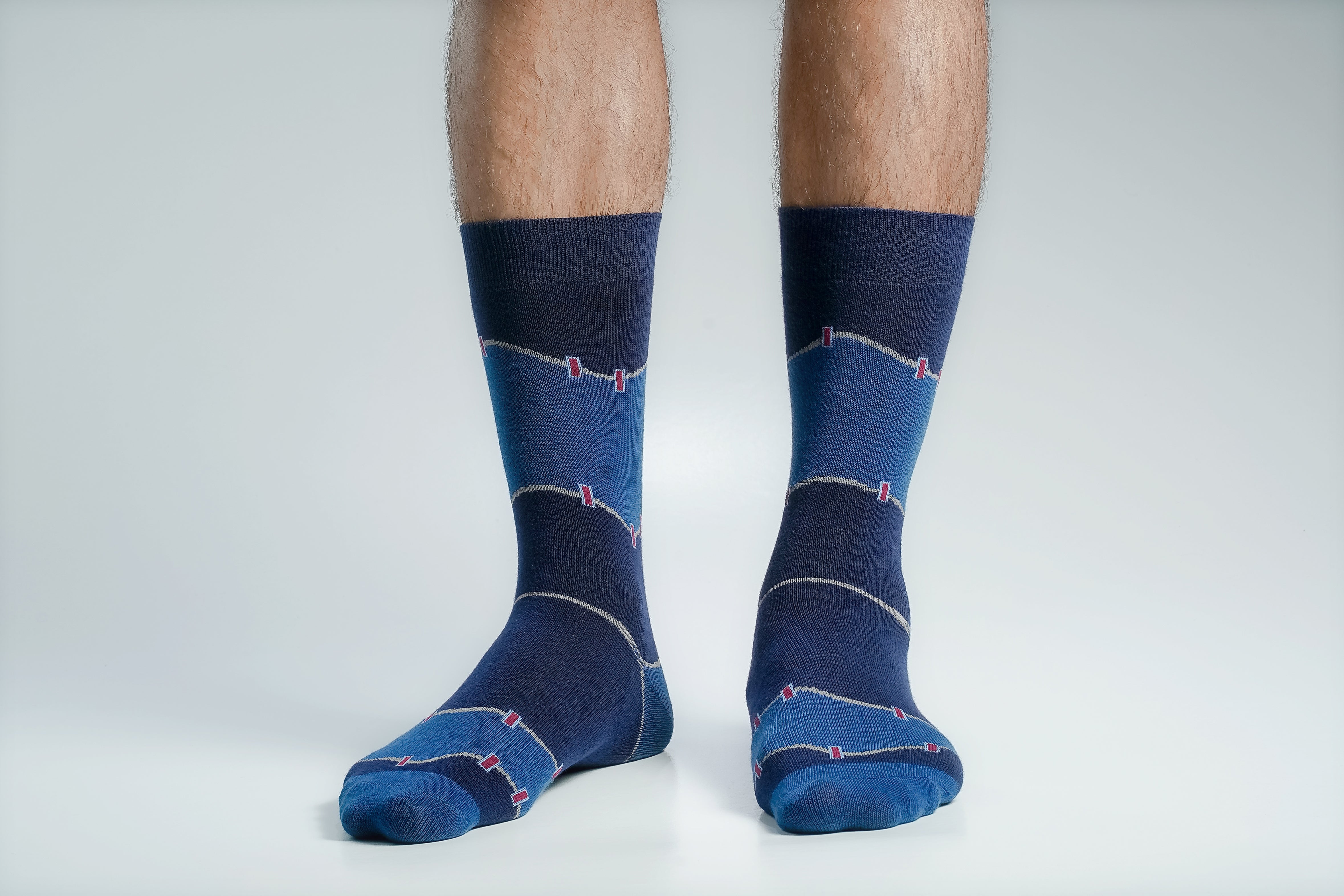 Swan 1000 Miles Long Socks For Men