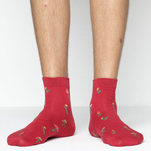 Premium Ankle Socks for Women