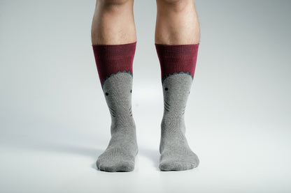 Swan Viara Long Socks for Men