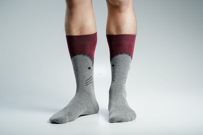 Swan Viara Long Socks for Men
