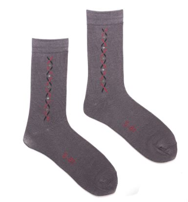 Swan Long Socks for Men by MB Hosiery